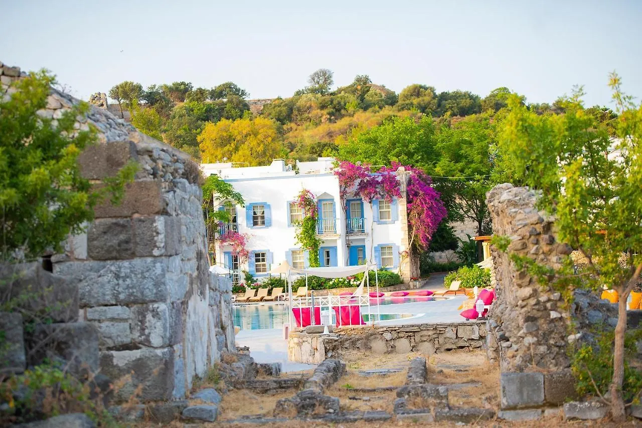 Historical Museum Resort Bodrum